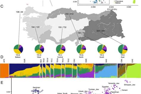 ancestry dna turkish|Anatolian Turkish Genetics .